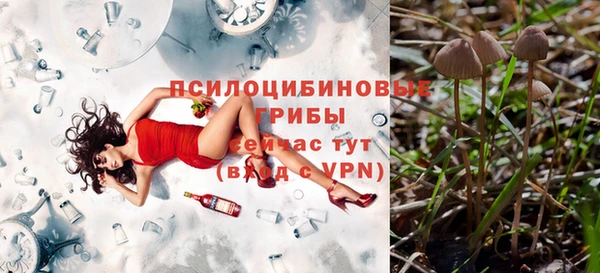 mdpv Беломорск